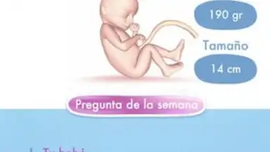 Screenshot von Mi Embarazo 4