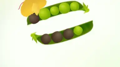 Screenshot von Pigeon Pop 7