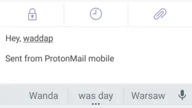 Screenshot von Proton Mail 2