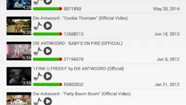 Screenshot von YT3 Music Downloader 6