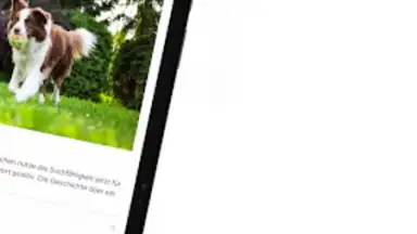 Screenshot von RP ONLINE 6