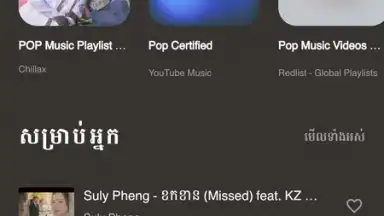 Screenshot von Moosic - Youtube music player 7