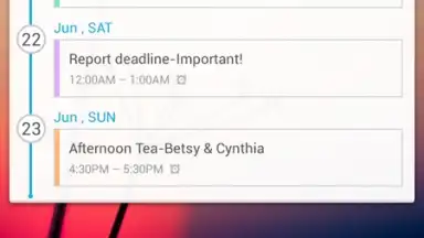 Screenshot von GO Calendar Widget 8