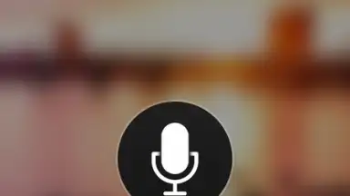 Screenshot von Microsoft Translator 7