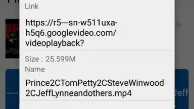 Screenshot von GDM - YouTube Video Downloader 13