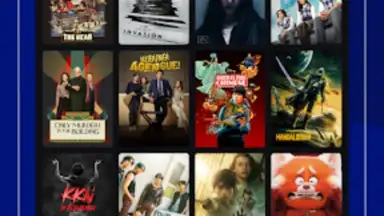 Screenshot von Disney+ Hotstar (Android TV) 3