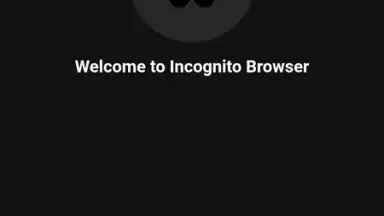Screenshot von Private Browser 14