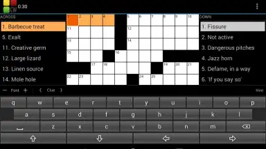 Screenshot von Crossword Puzzle 13