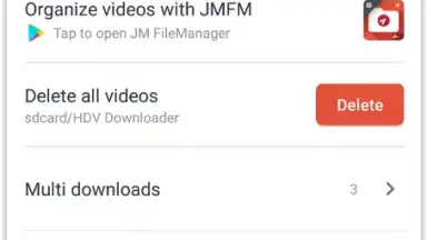 Screenshot von HDV Downloader 4