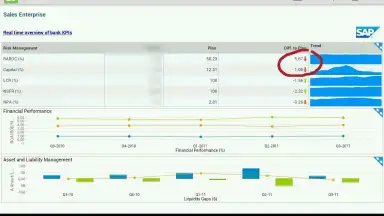 Screenshot von SAP BI 2