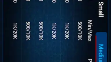 Screenshot von PokerKinG Pro 1
