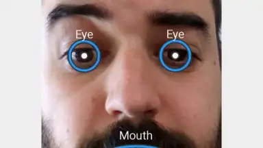 Screenshot von FaceSwap 4