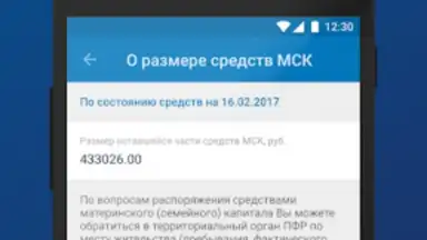 Screenshot von ПФР Электронные сервисы 1