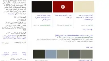 Screenshot von B Browser 6