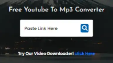 Screenshot von YTMP3BD 2