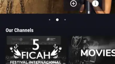 Screenshot von VIX 5