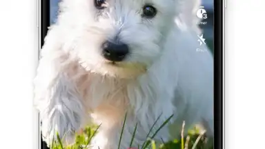 Screenshot von TikTok Lite 15