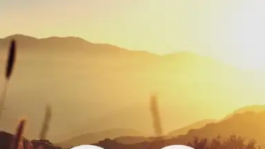 Screenshot von Meditation Music Metapps 2