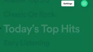 Screenshot von Spotify Stations 14