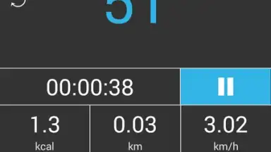 Screenshot von Accupedo Pedometer 4