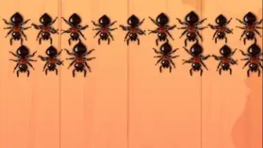 Screenshot von Ant Smash Game 5