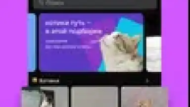 Screenshot von VK Clips 8
