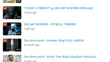 Screenshot von Peggo - YouTube to MP3 Converter 6
