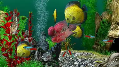 Screenshot von AquaLife 3D 1