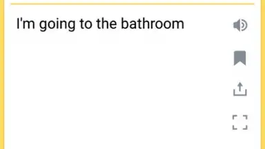 Screenshot von Yandex Translate 9