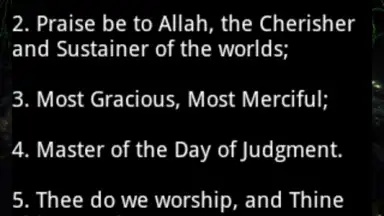 Screenshot von Holy Quran video and MP3 1