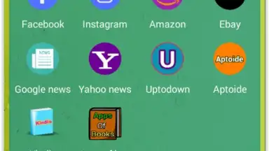 Screenshot von Browser Leopard 1