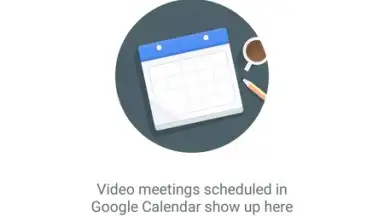 Screenshot von Google Meet (Original) 7