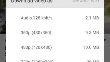 Screenshot von AyaTube Video Downloader 4