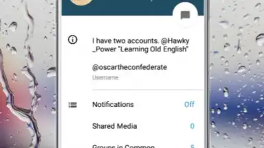 Screenshot von Via Messenger - Unofficial Telegram App 12