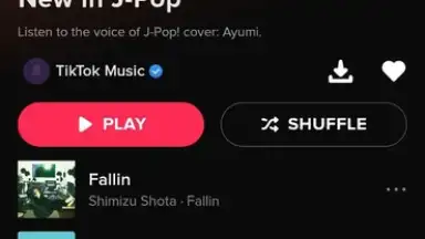 Screenshot von TikTok Music 8