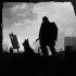 WarZ: Law of Survival apk