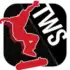 Transworld Endless Skater apk