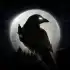 NIGHT CROWS apk